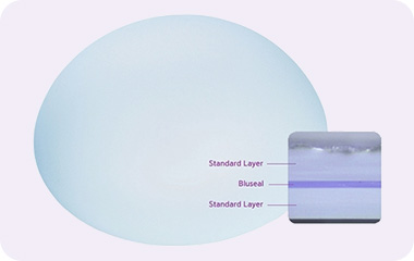 모티바 보형물 Blu Seal