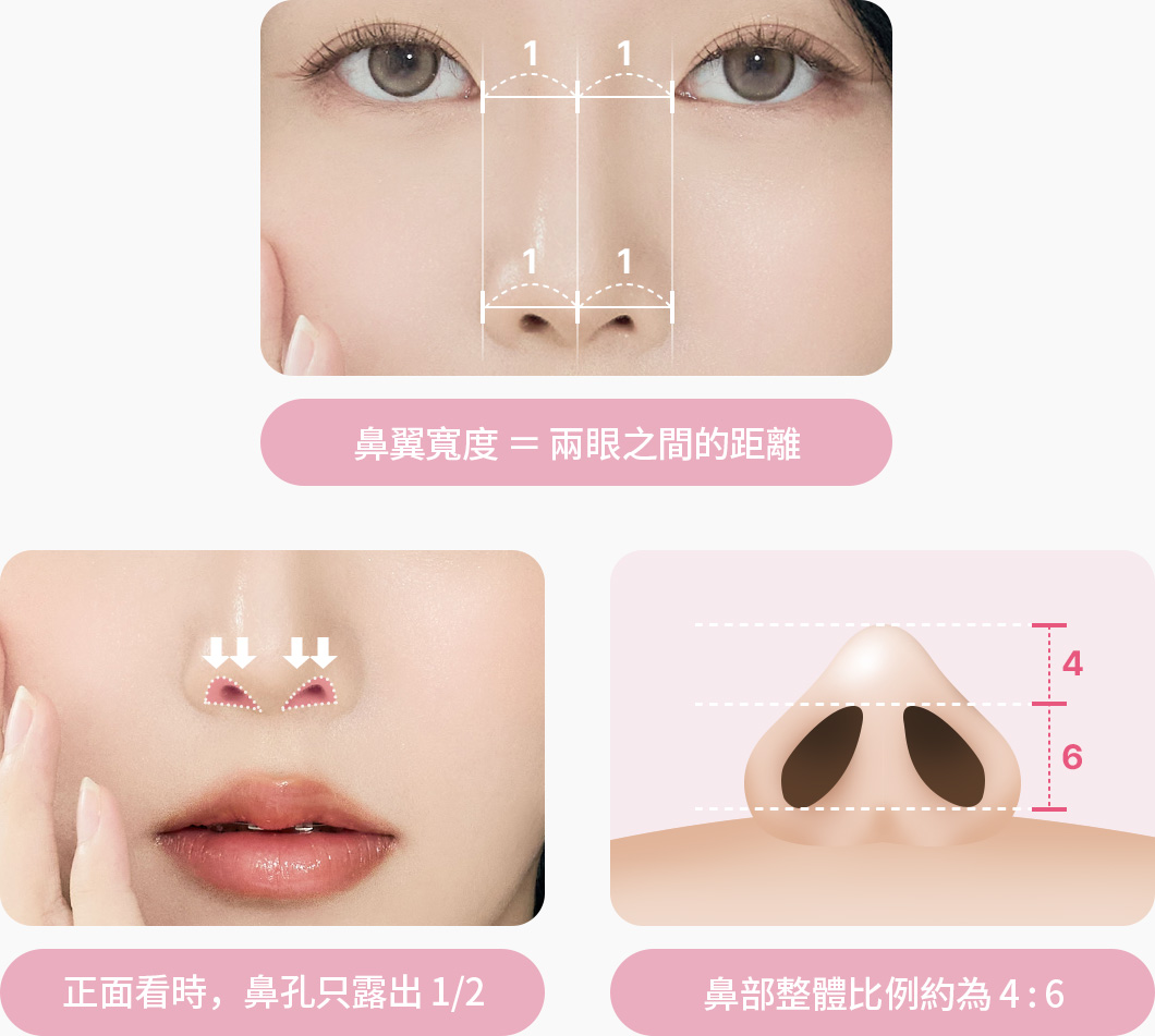 콧볼 폭 눈 사이 거리가 같음 정면에서 콧구멍이 반만 노출 코 전체 코 전체 비주 콧구멍 4대6 비율