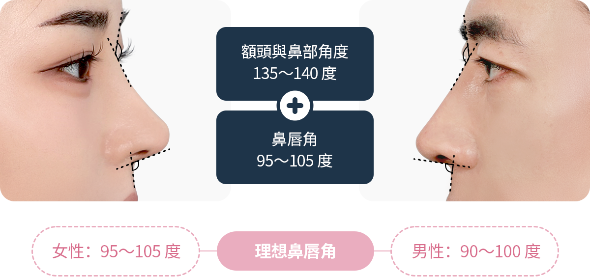 이상적인 비순각 여성 95도 105도 남성 90도 100도 이마와 코각도 135도 140도 비순각 95도 105도